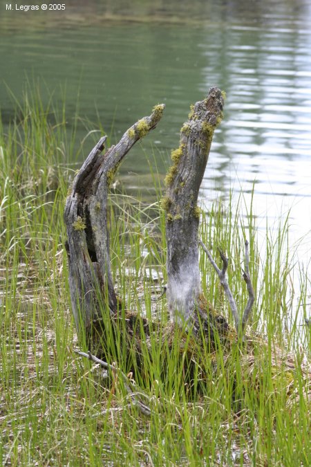 Lac Maligne