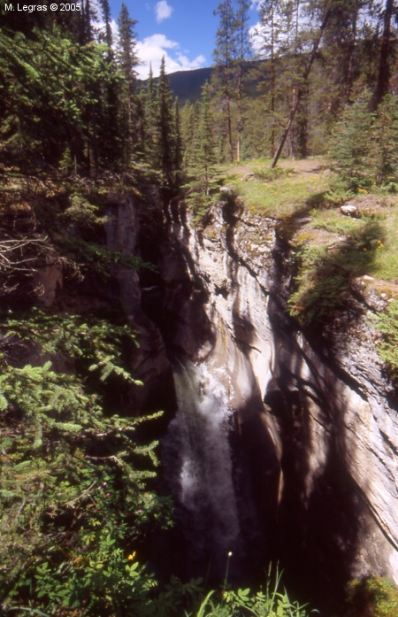 Canyon Maligne