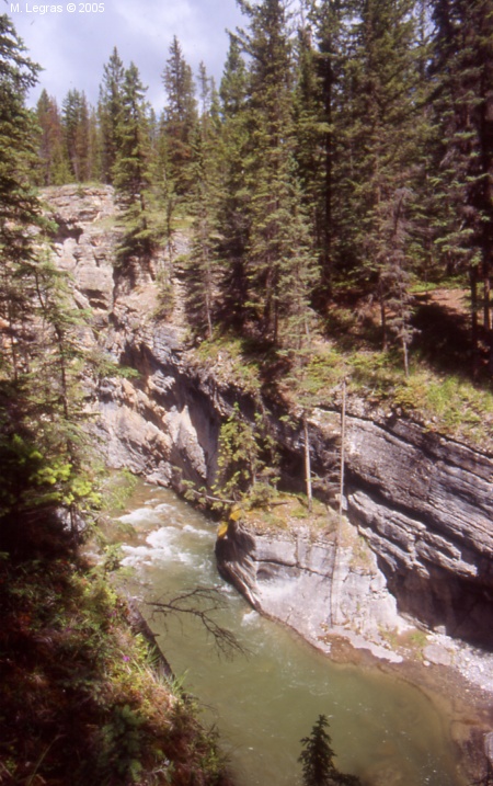 Canyon Maligne