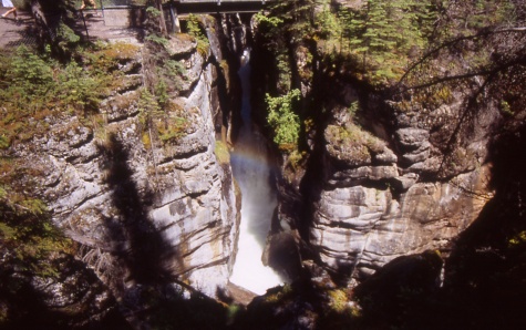 Canyon Maligne