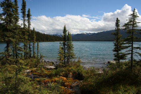 Lac Maligne