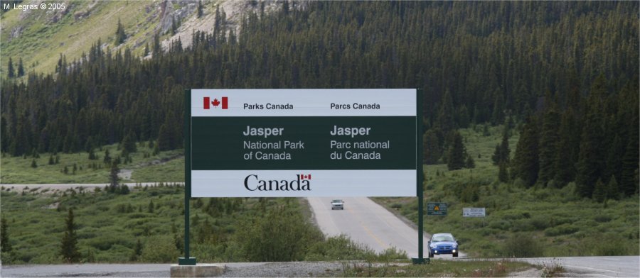 JASPER NP
