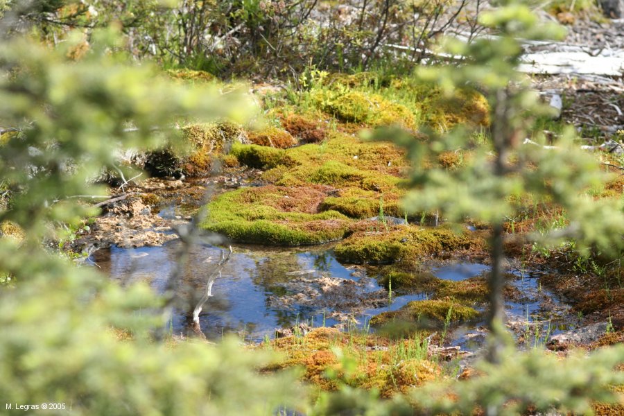 Abord du Lac Maligne