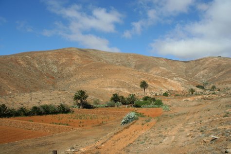Betancuria