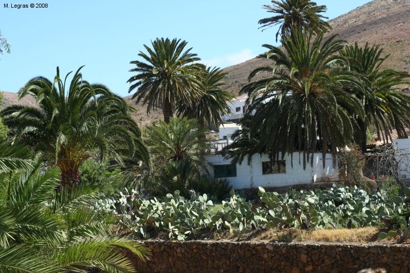 Betancuria