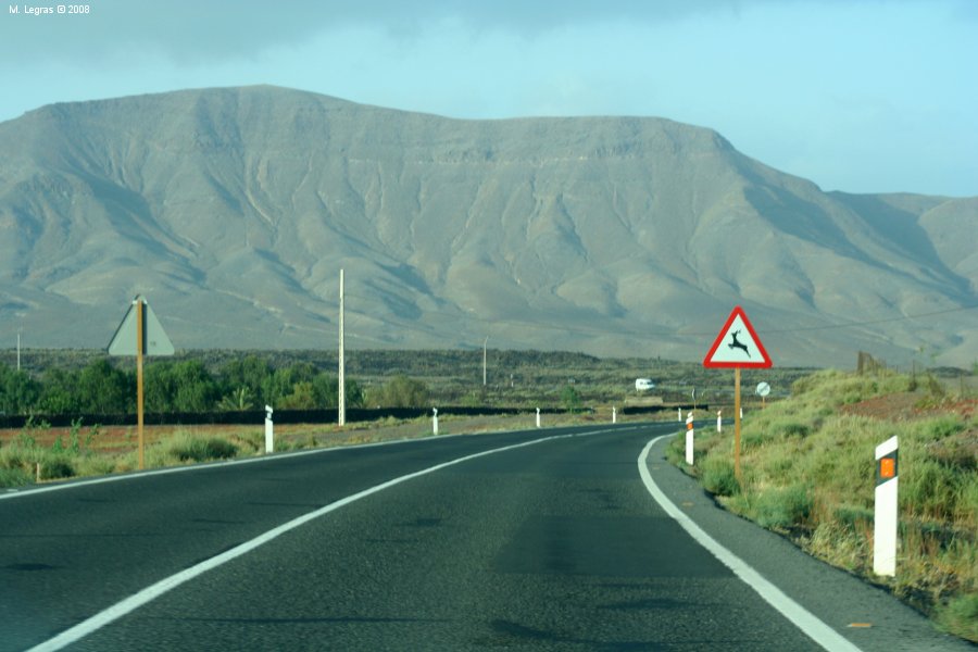Caleta de fuste