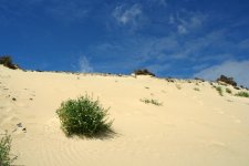Risco del Paso