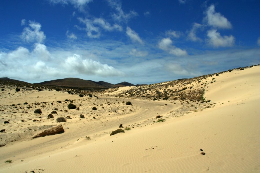 Risco del Paso