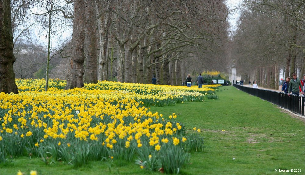 St James Park