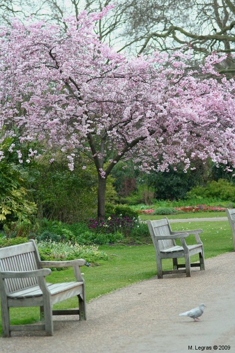 St James's Park