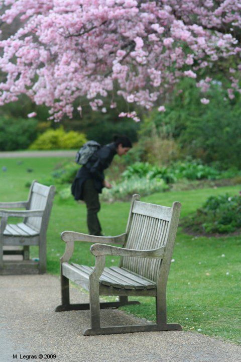 St James's Park