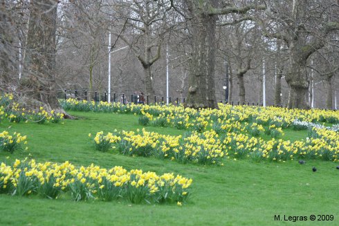 St James Park
