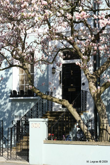 Notting Hill