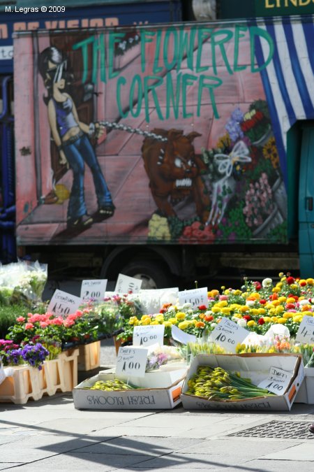 The flower Corner