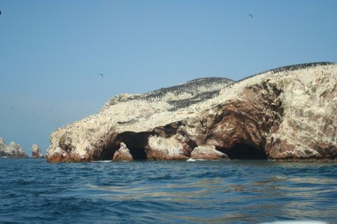 Ile Ballestas