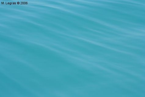 Le Bleu Pacifique