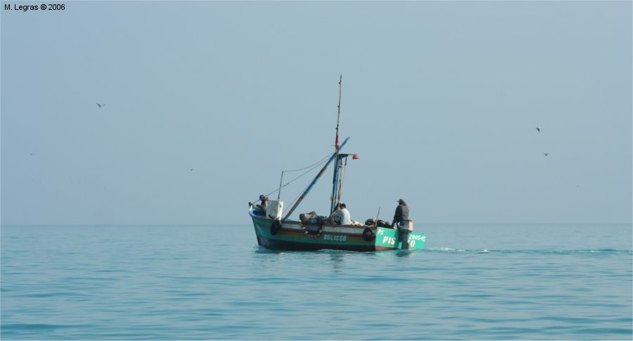 Pcheur de Paracas