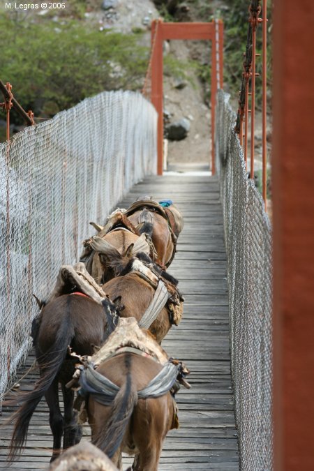 Pont sur l'Apurimac