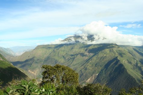 vue sur l'arrire du parcours