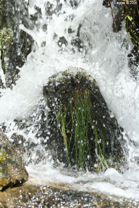 Eau de source
