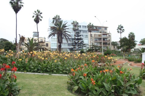 Barranco