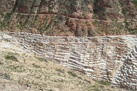Las Salinas