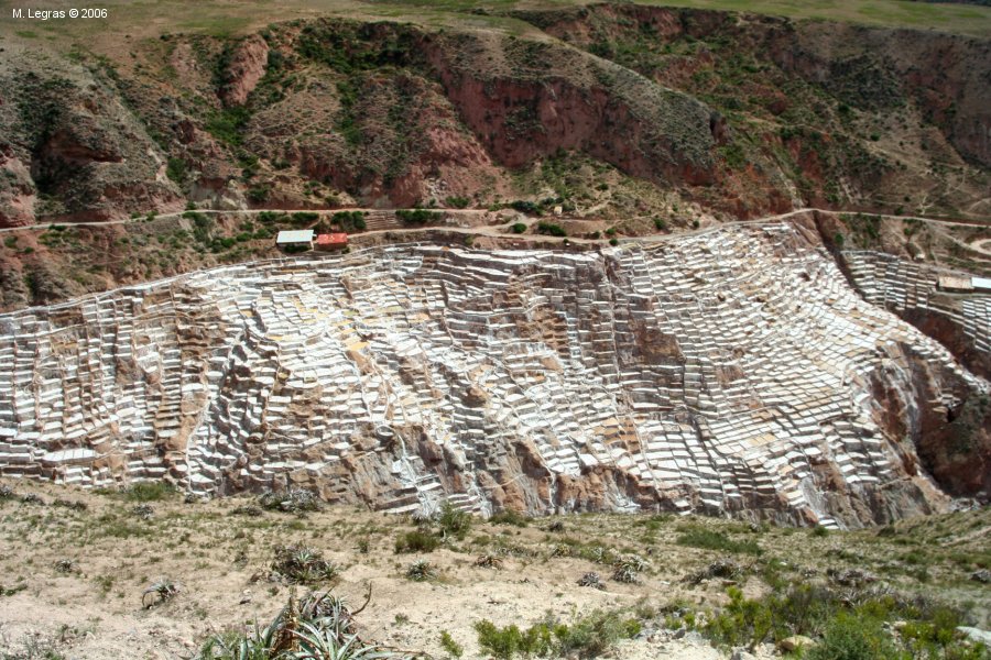 Las Salinas