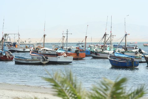 Plage de Paracas