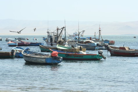 Plage de Paracas