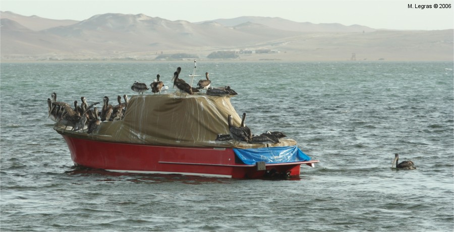 Baie de Paracas