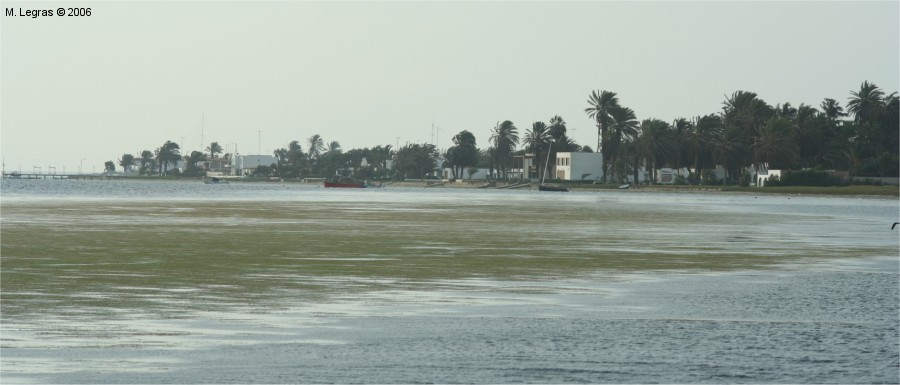 Baie de Paracas