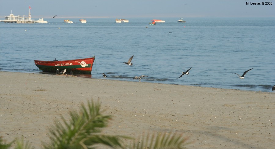 Baie de Paracas