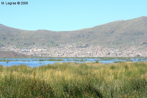 Les roseaux des Uros devant Puno