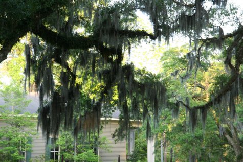 Saint-Francisville