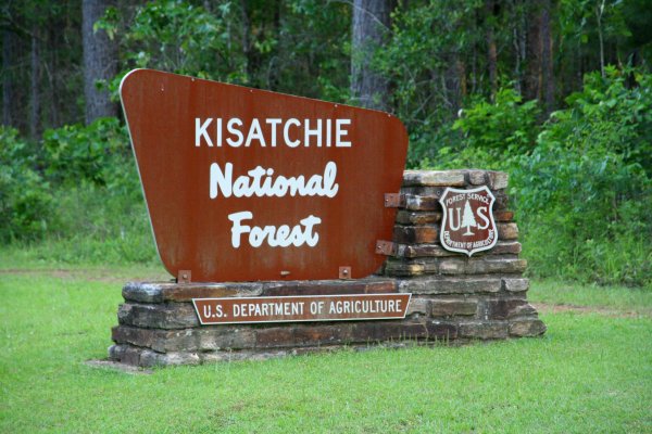 Kisatchie National Forest