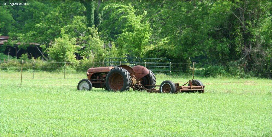 Les plantations de Pecans aux abords de l'interstate 49