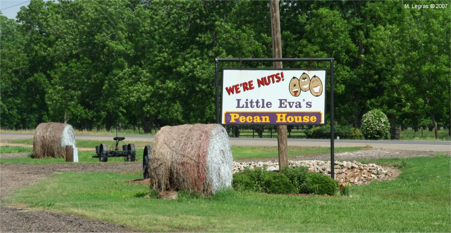 Little Eva Plantation Pecan House
