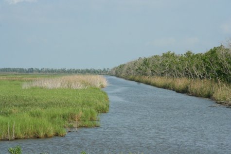 Route du Creole Nature Trail