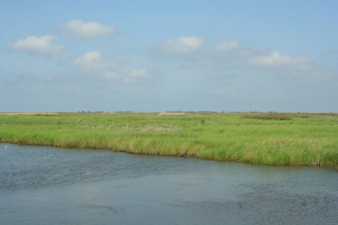 Route du Creole Nature Trail