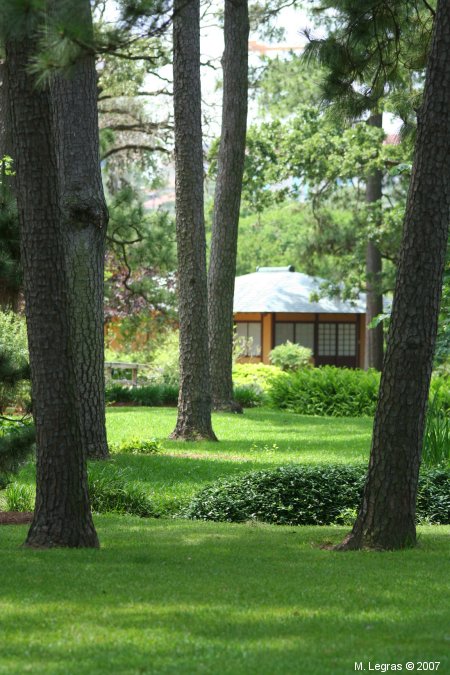 le jardin japonais, Hermann Park