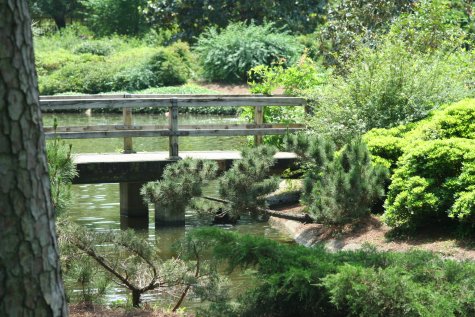 le jardin japonais, Hermann Park