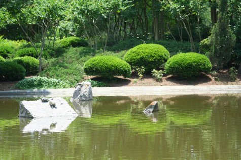 le jardin japonais, Hermann Park