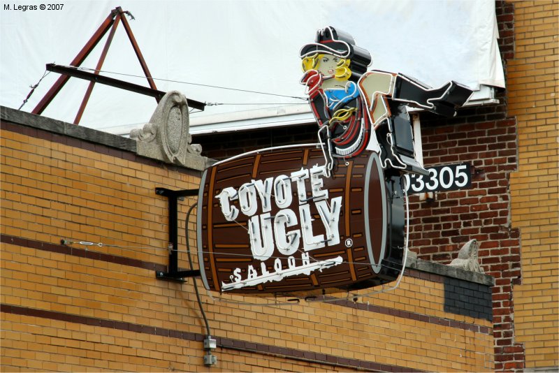 Beale Street - Coyote Ugly