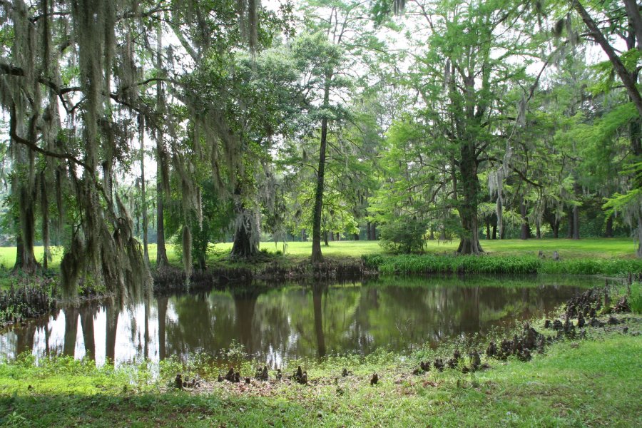 Manoir Melrose