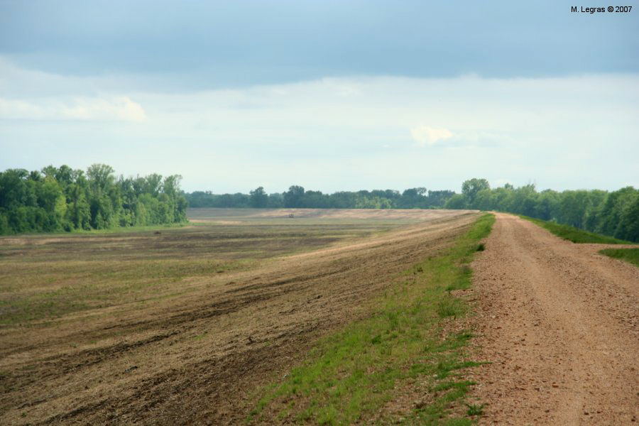 Le fleuve et ses digues