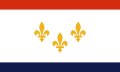 New Orleans Flag