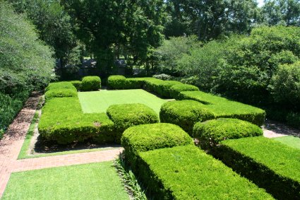 Jardin sur le cot de la Villa