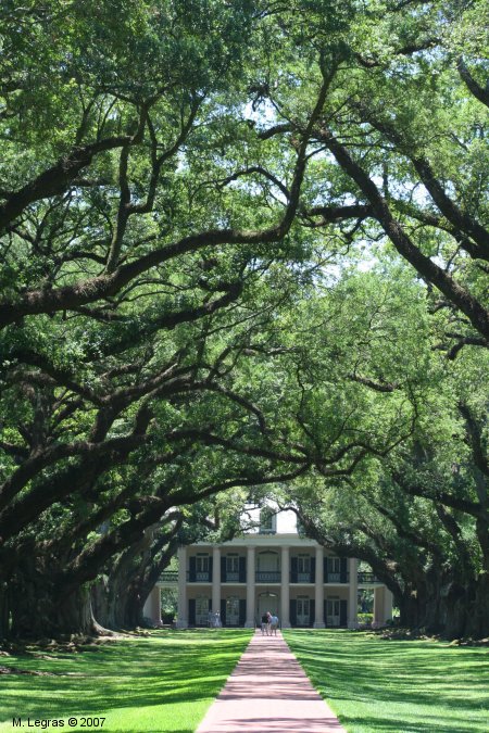 Oak Alley