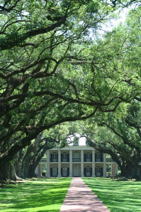 Oak Alley