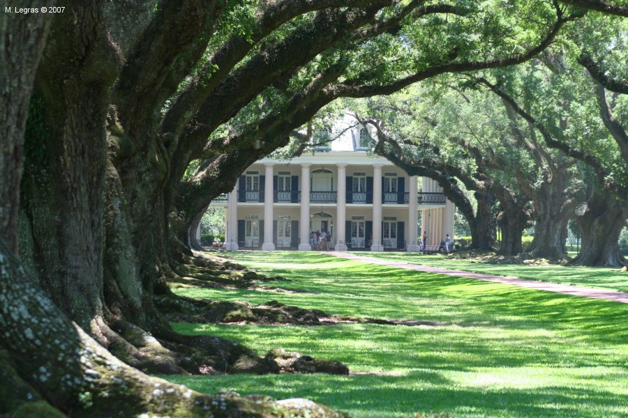 Oak Alley